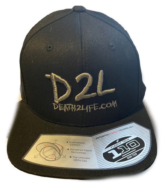 Black D2L FlexFit Snapback Hat