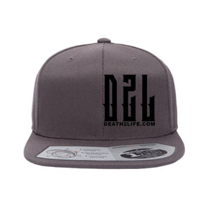 Gray D2L Flexfit Snapback Hat